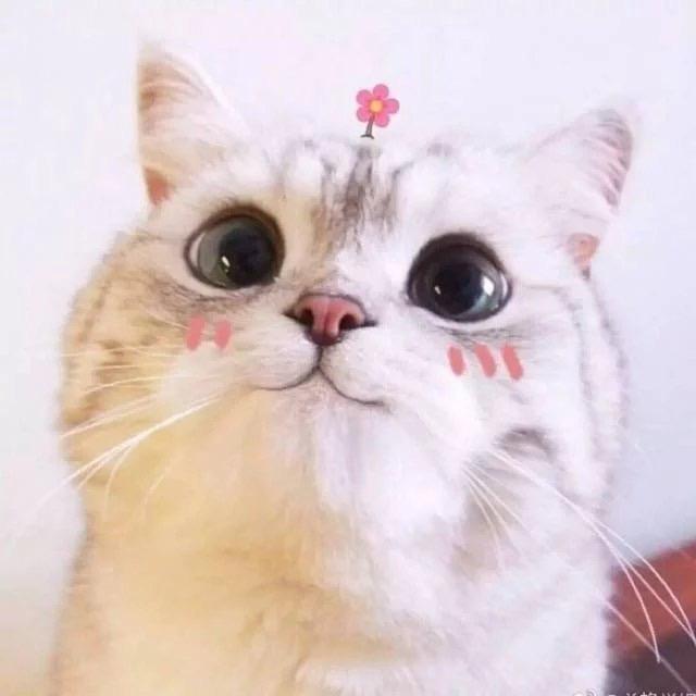 漾子日记
