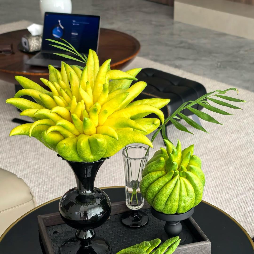 喜遇佛手一物一拍