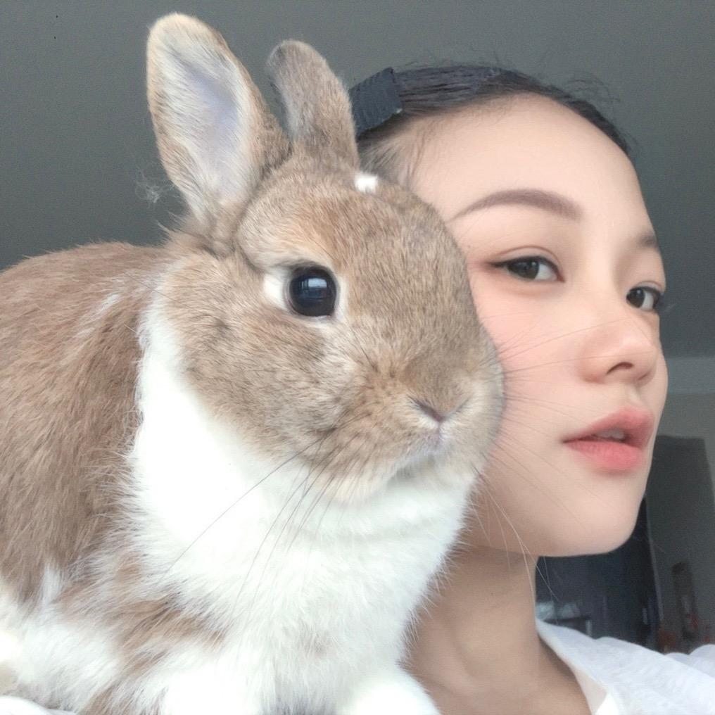 黄 焖鸡米饭🍚