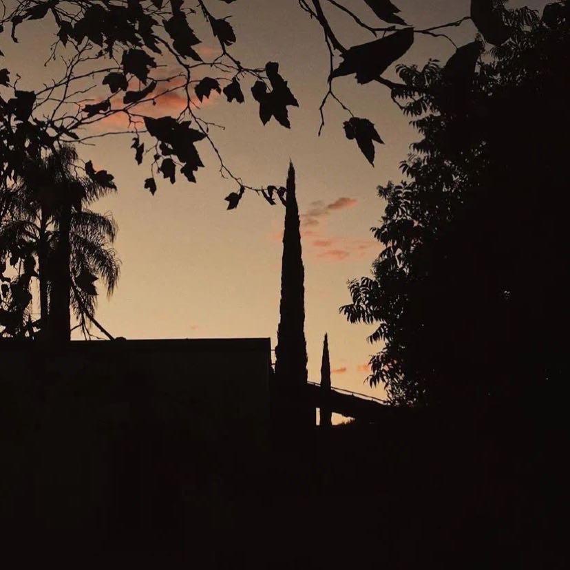 平平淡淡才是真.