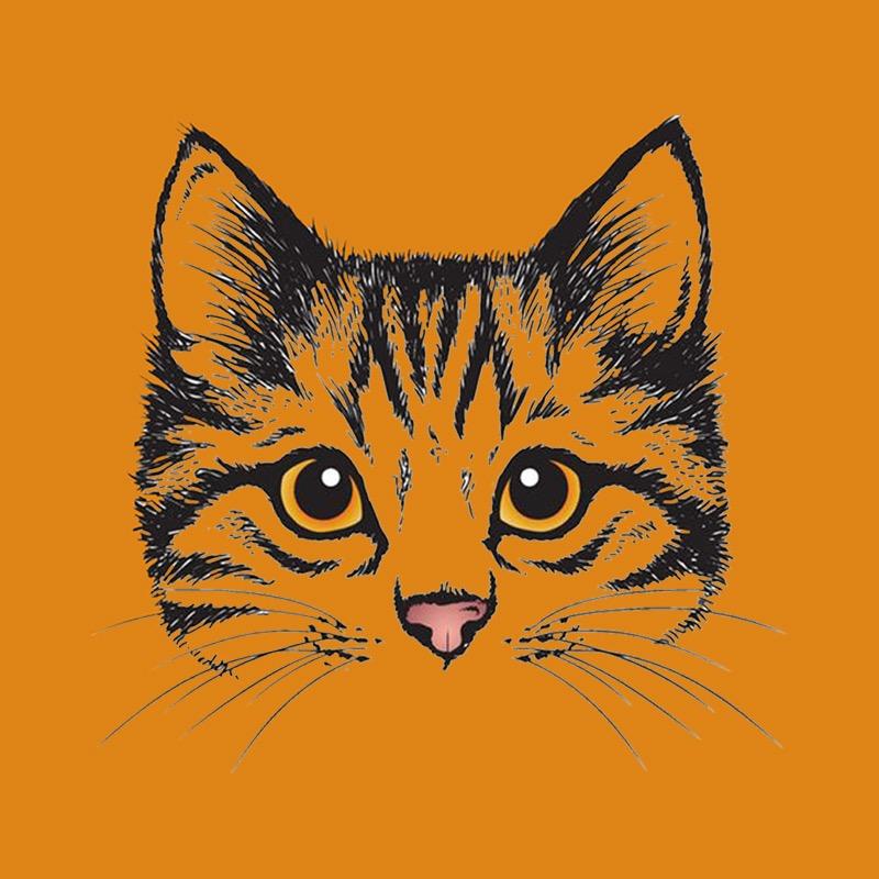 荒野七彩猫