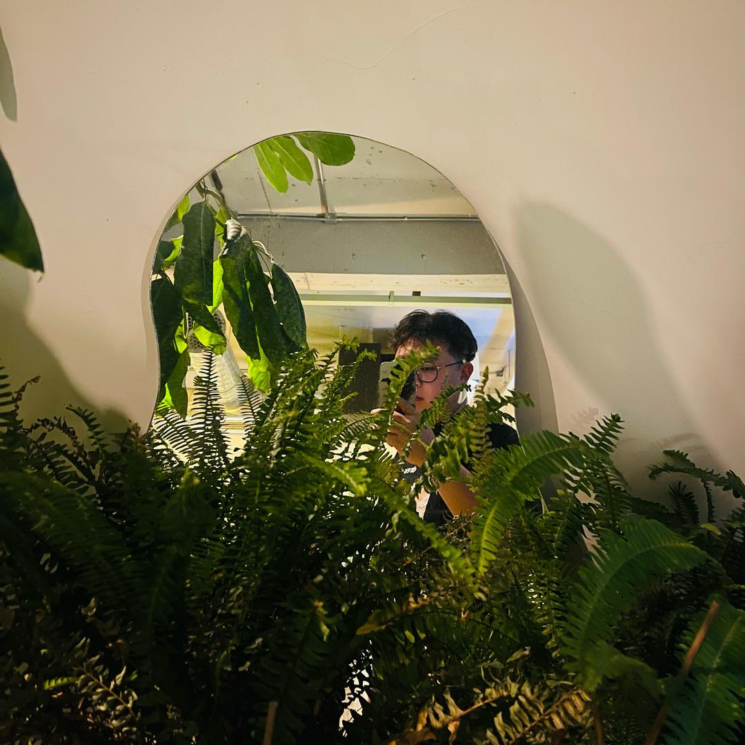 树树