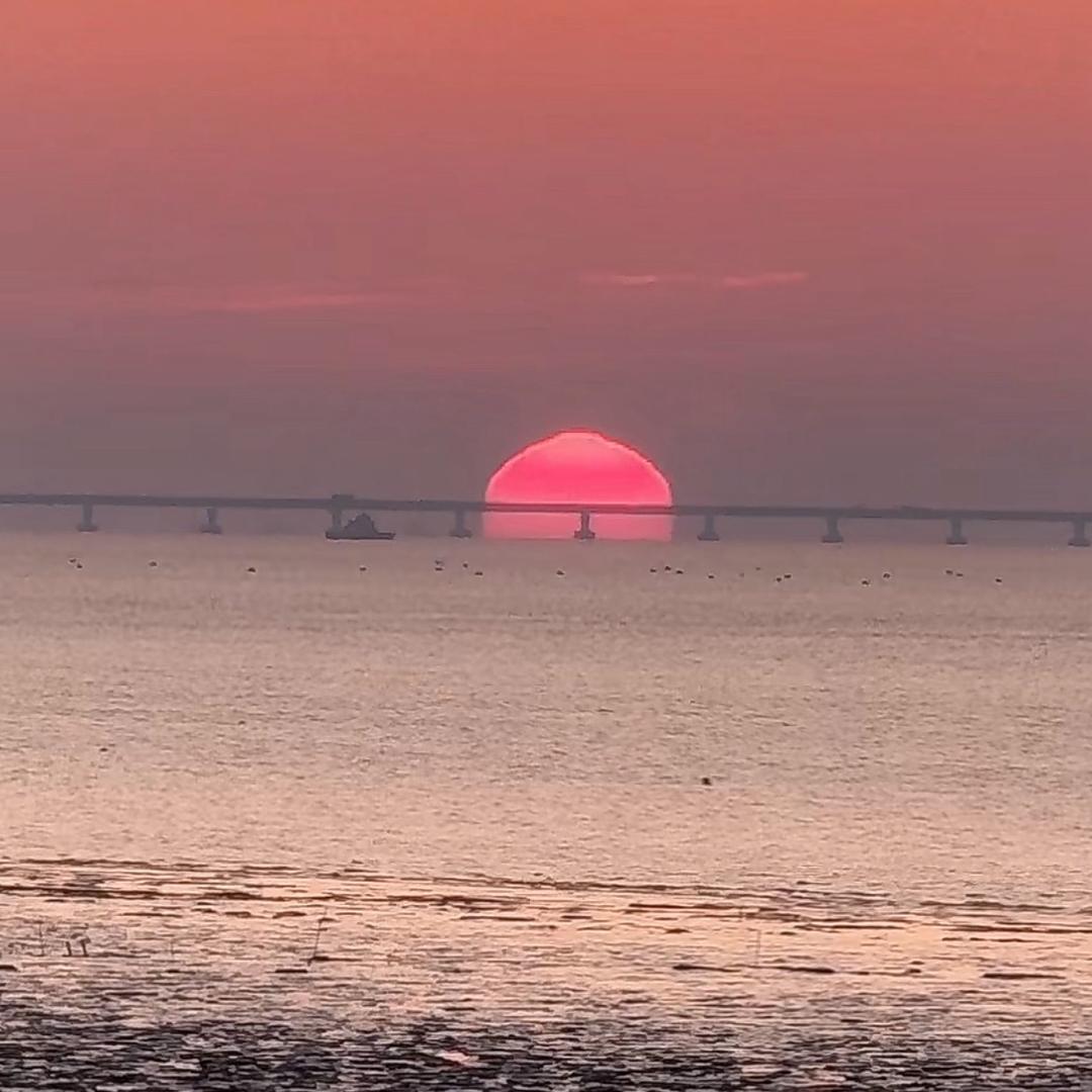 缺心眼的小笼包