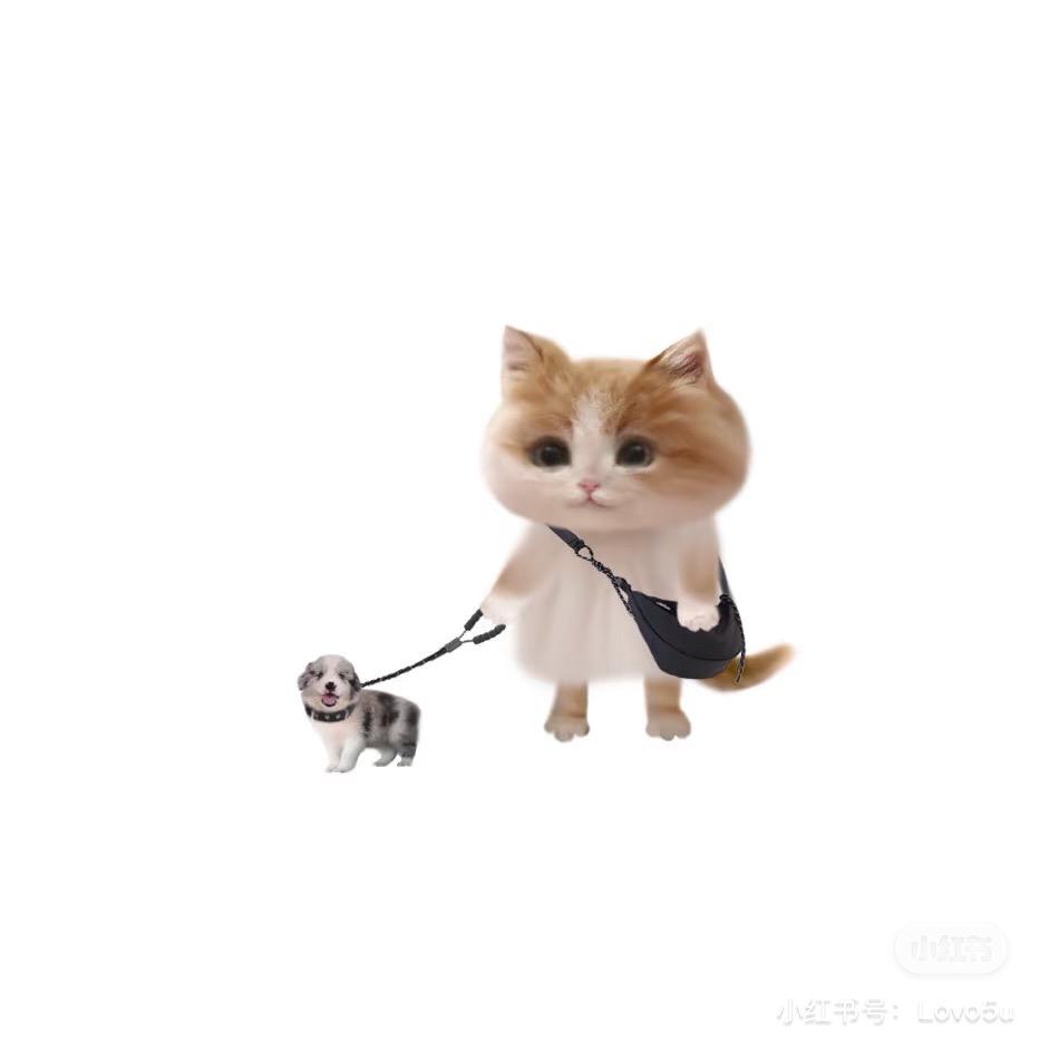 妈沫