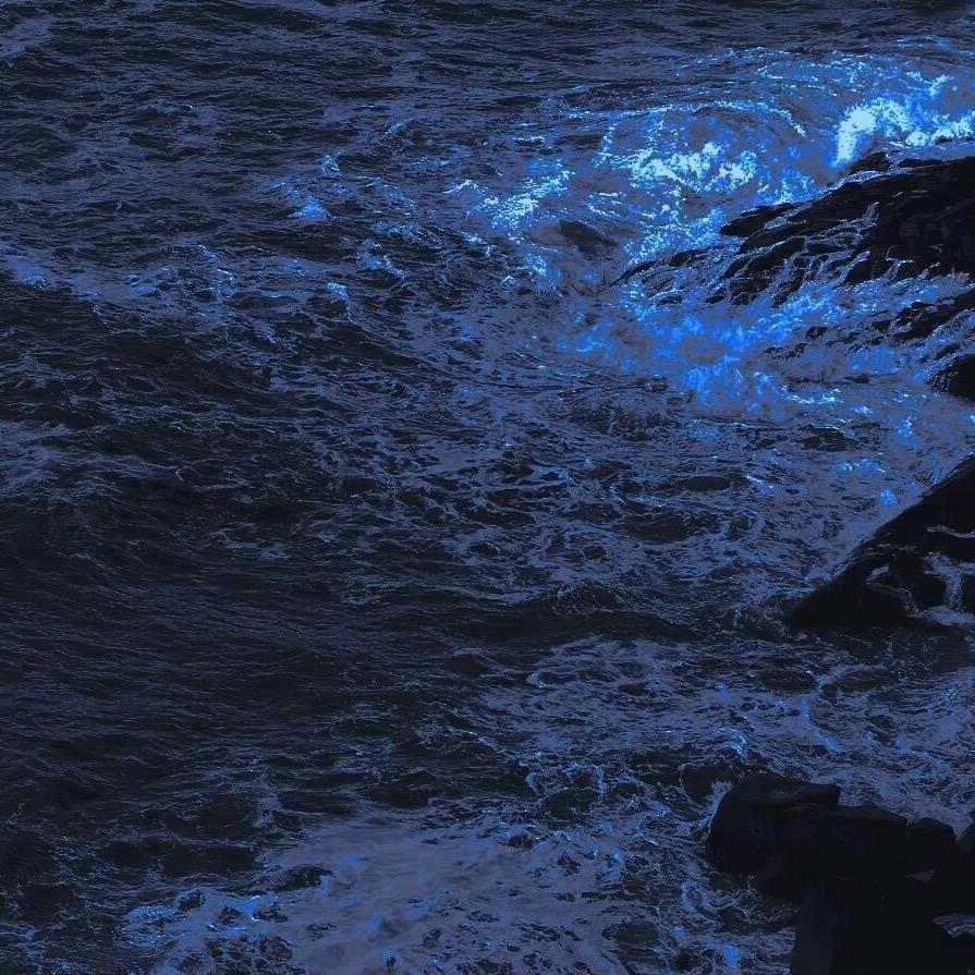 AAA猪饲料批发老张（全国可飞）