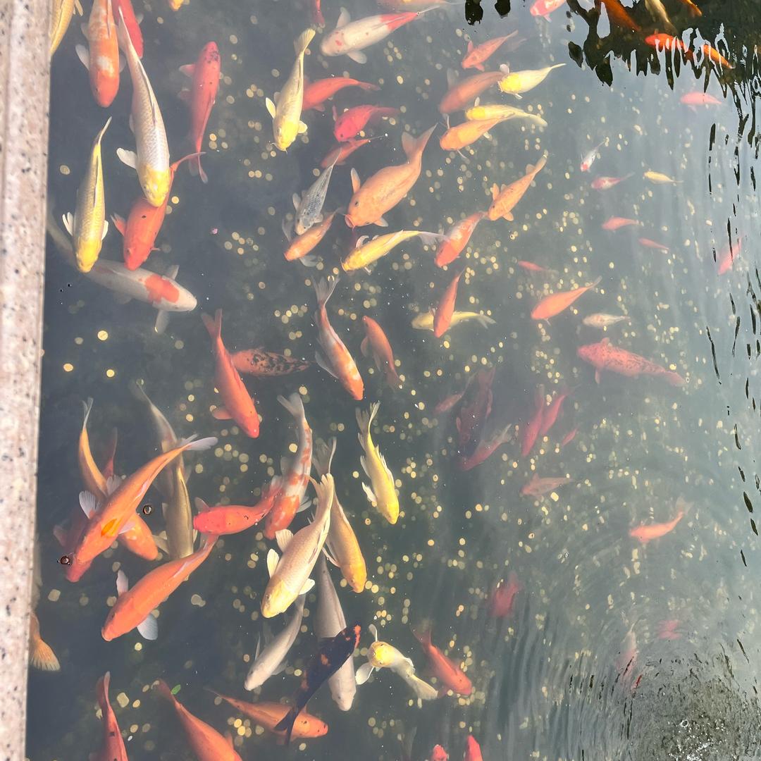 风继续吹