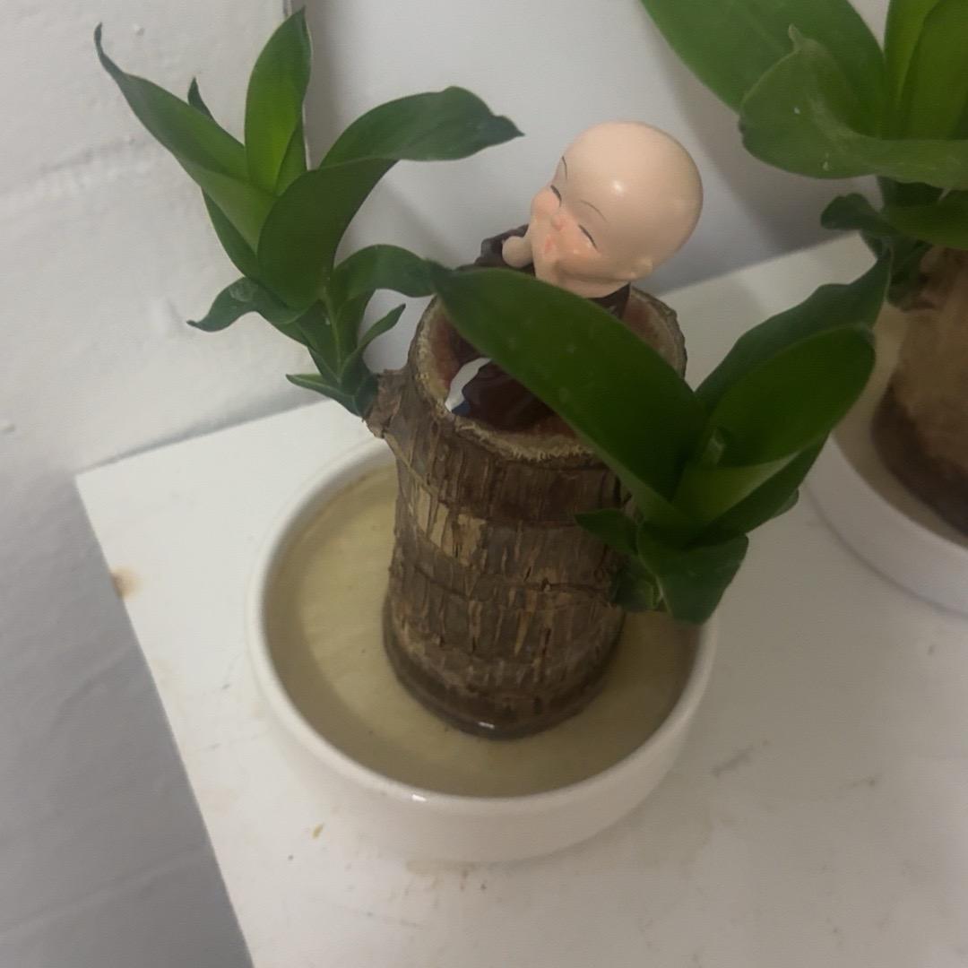 恨你一辈子