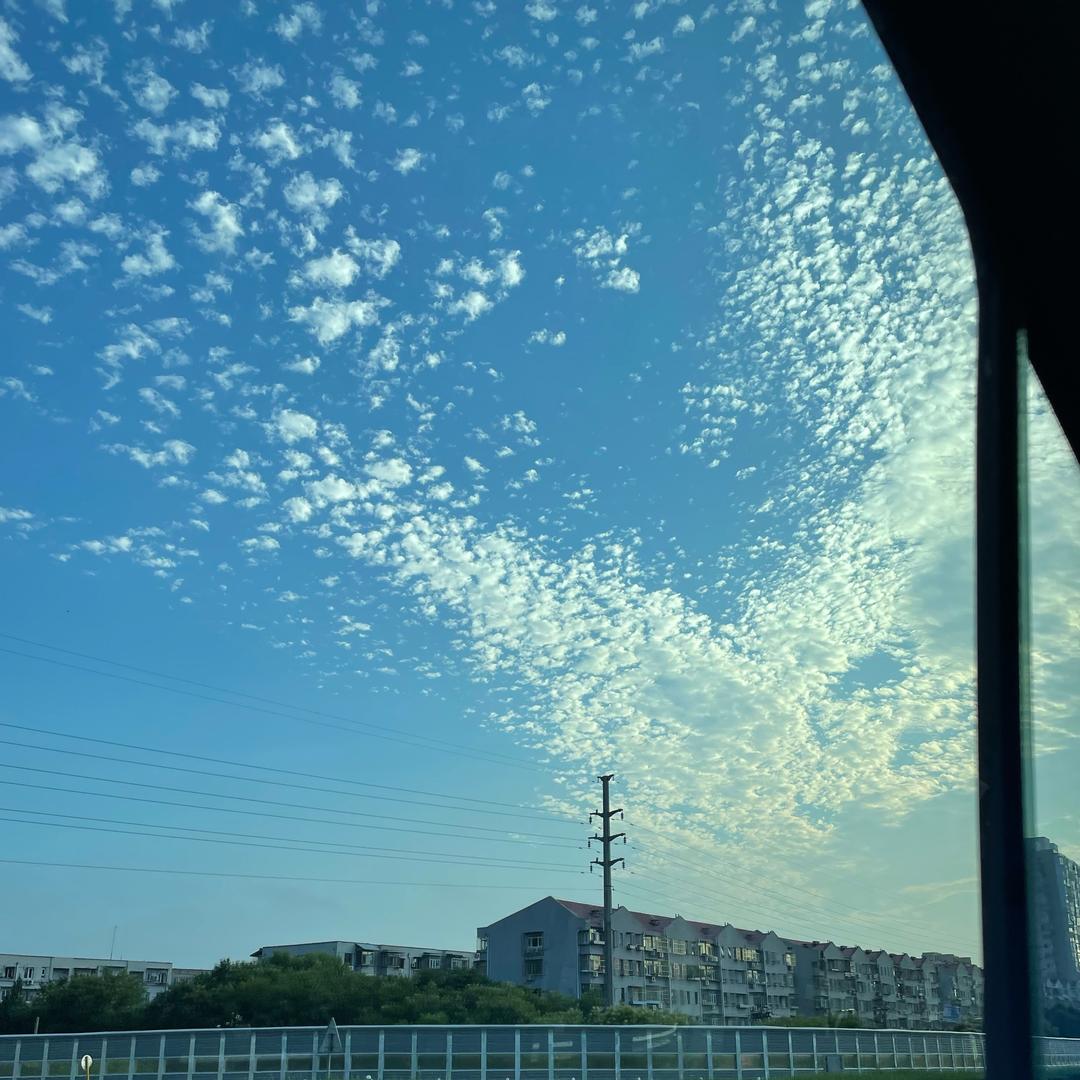 柴可爱❤️❤️❤️