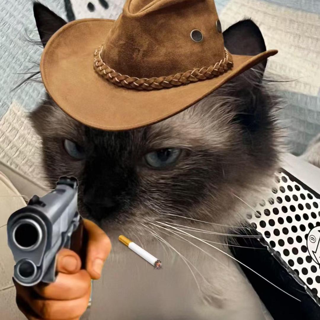 猪猪公主