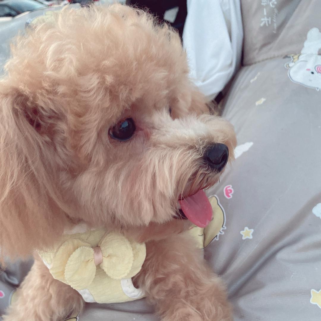 💖₅²⁰孙秦ོ同心ོ¹ᶟ₁₄