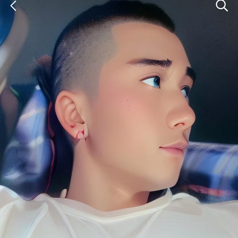 刘公子