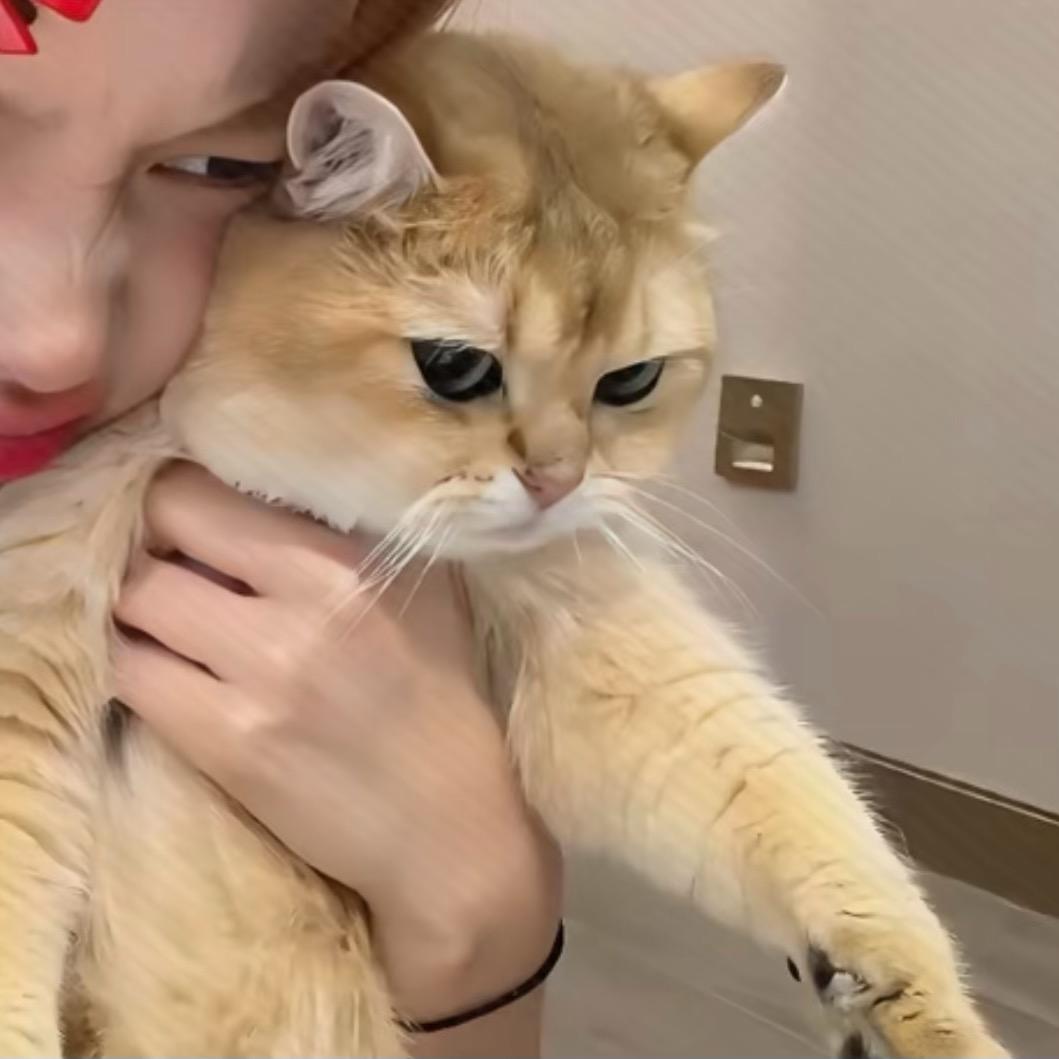 甜瓜真甜