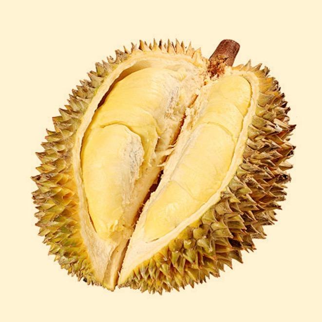 嘉丰果之源小时达-浙