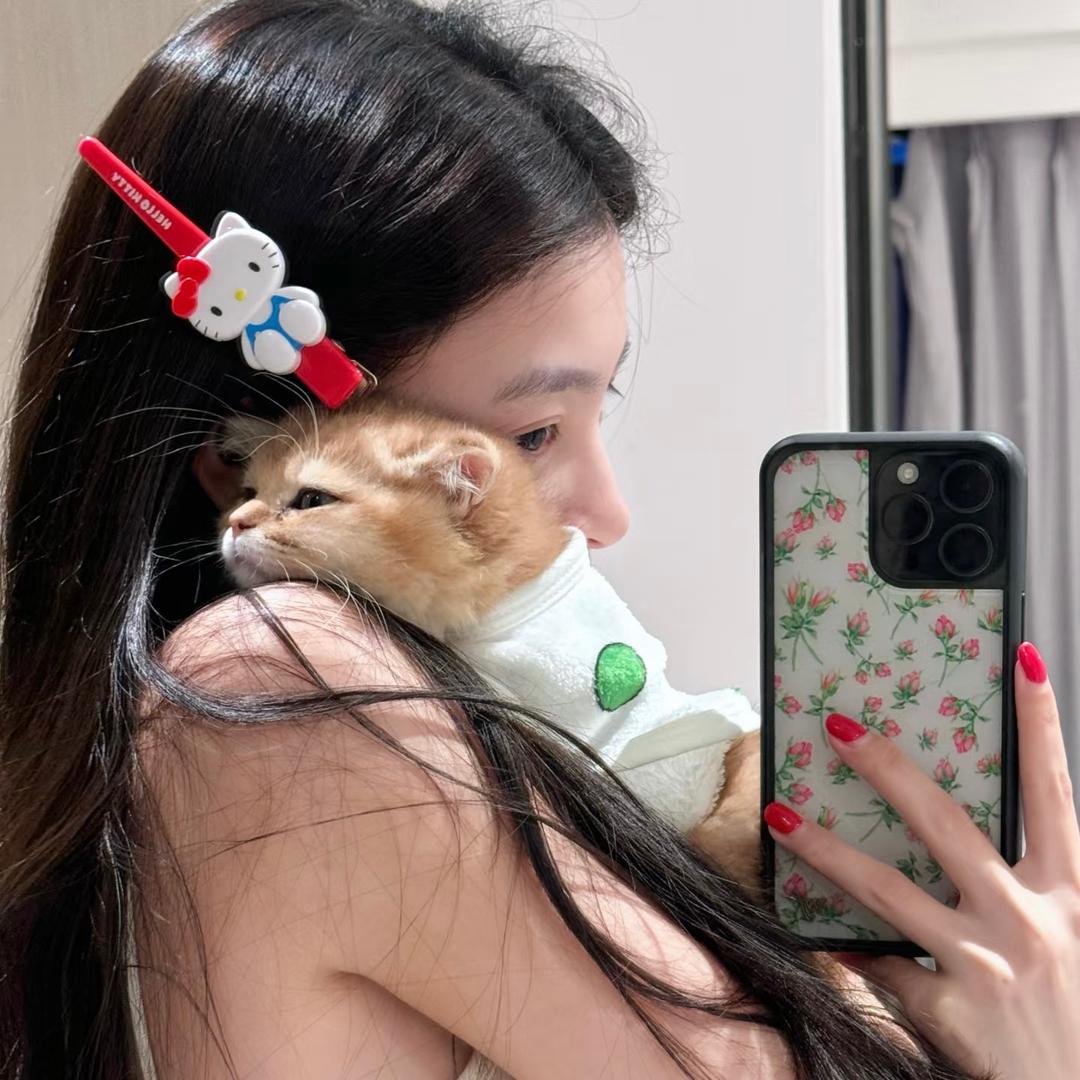 蛋挞碎碎念