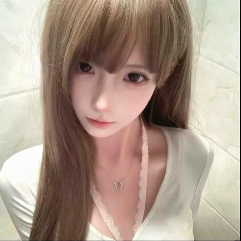 流浪小猫