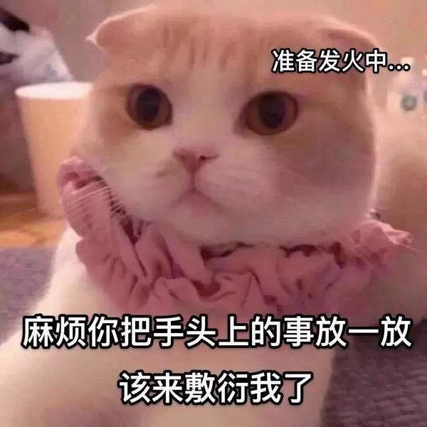 @杨初墨