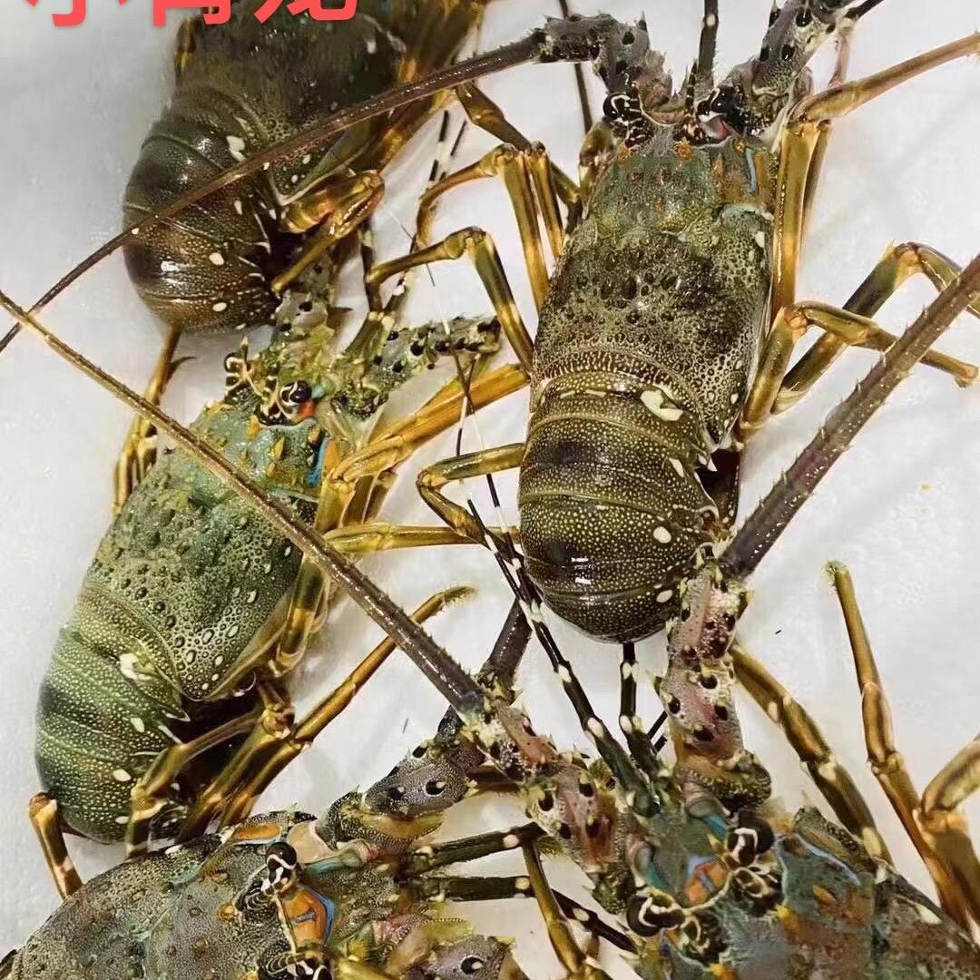 兵哥海鲜
