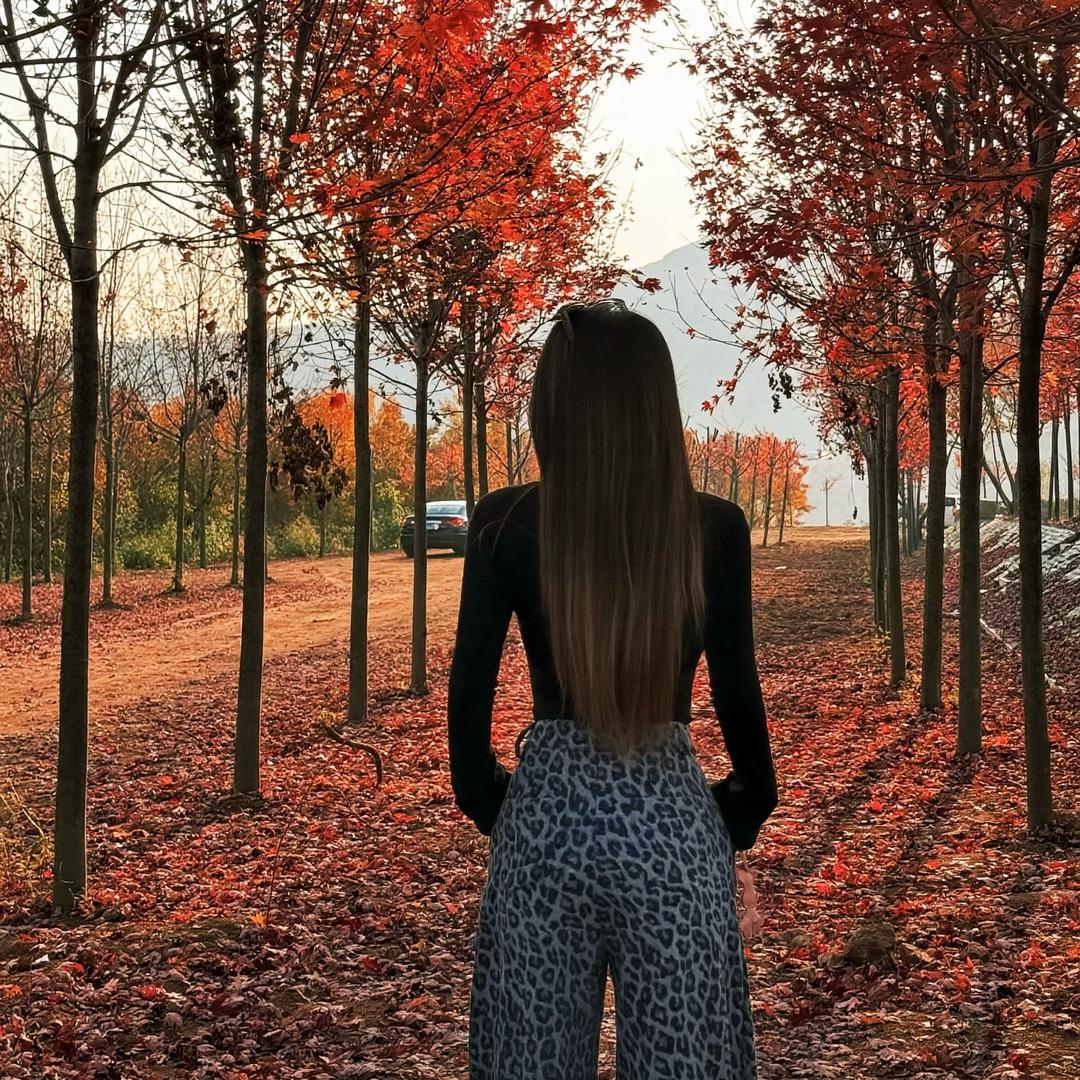 叙利亚在逃悍妇🕷️