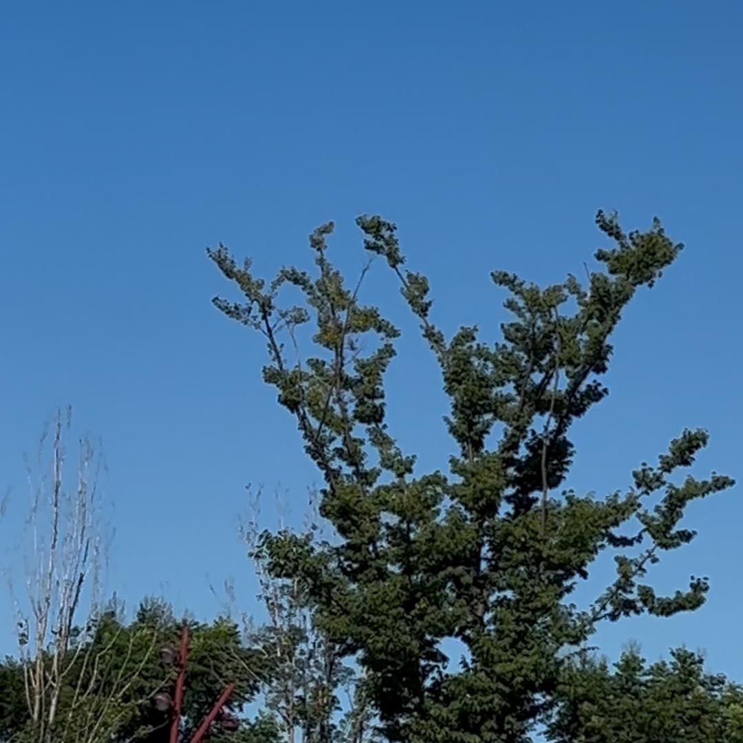123m456