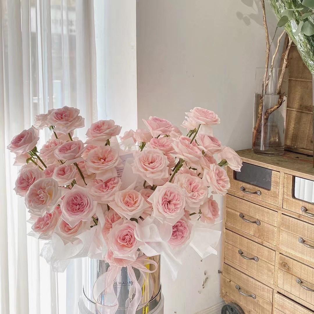 椿野与花Springf flower