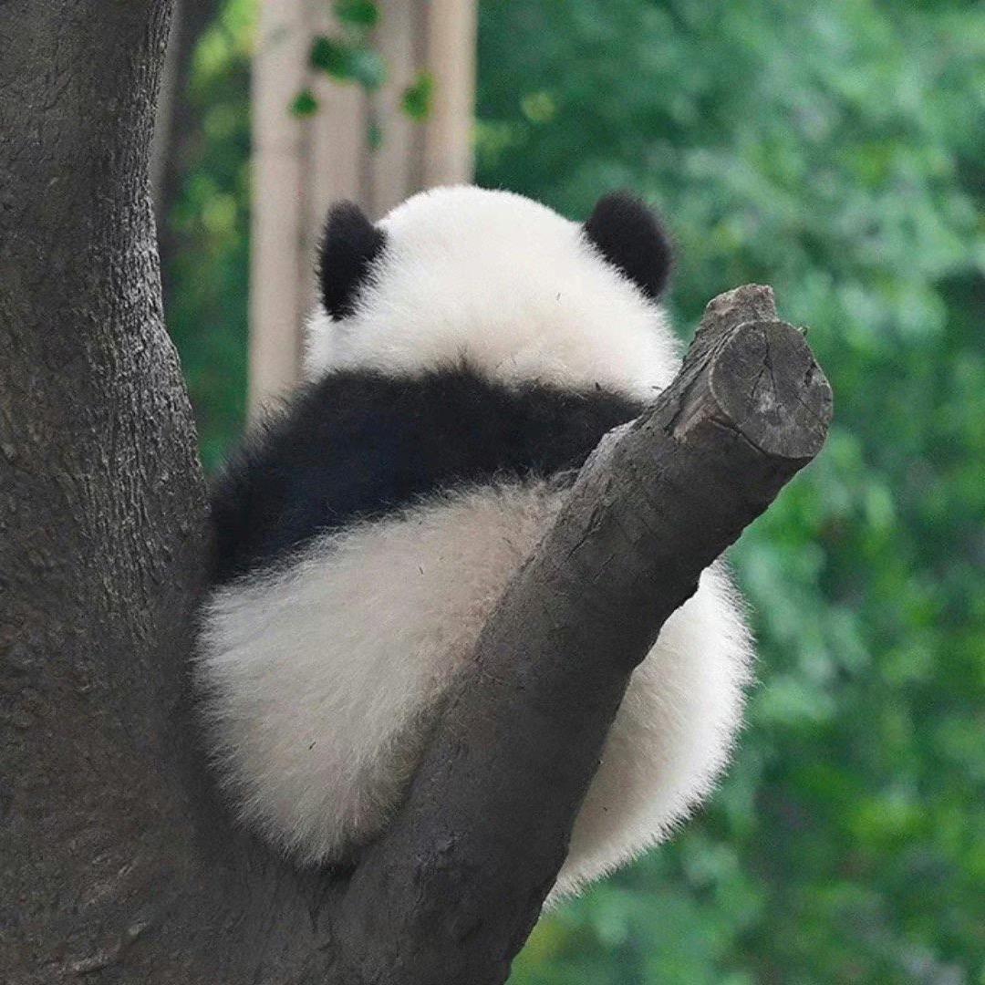 月下无限连