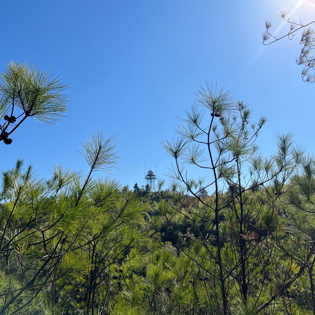 (*´°`*)咱也是个宝宝