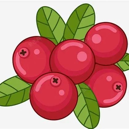 蔓越莓小铺优选