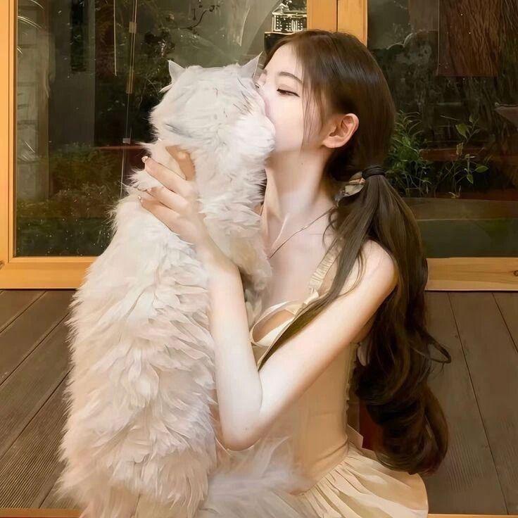 猫漫漫
