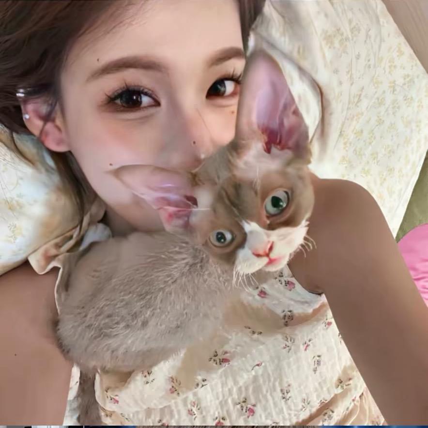 宁宁酱🧸