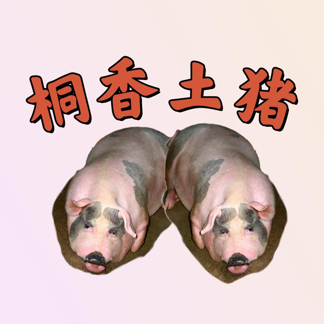 桐香生鲜