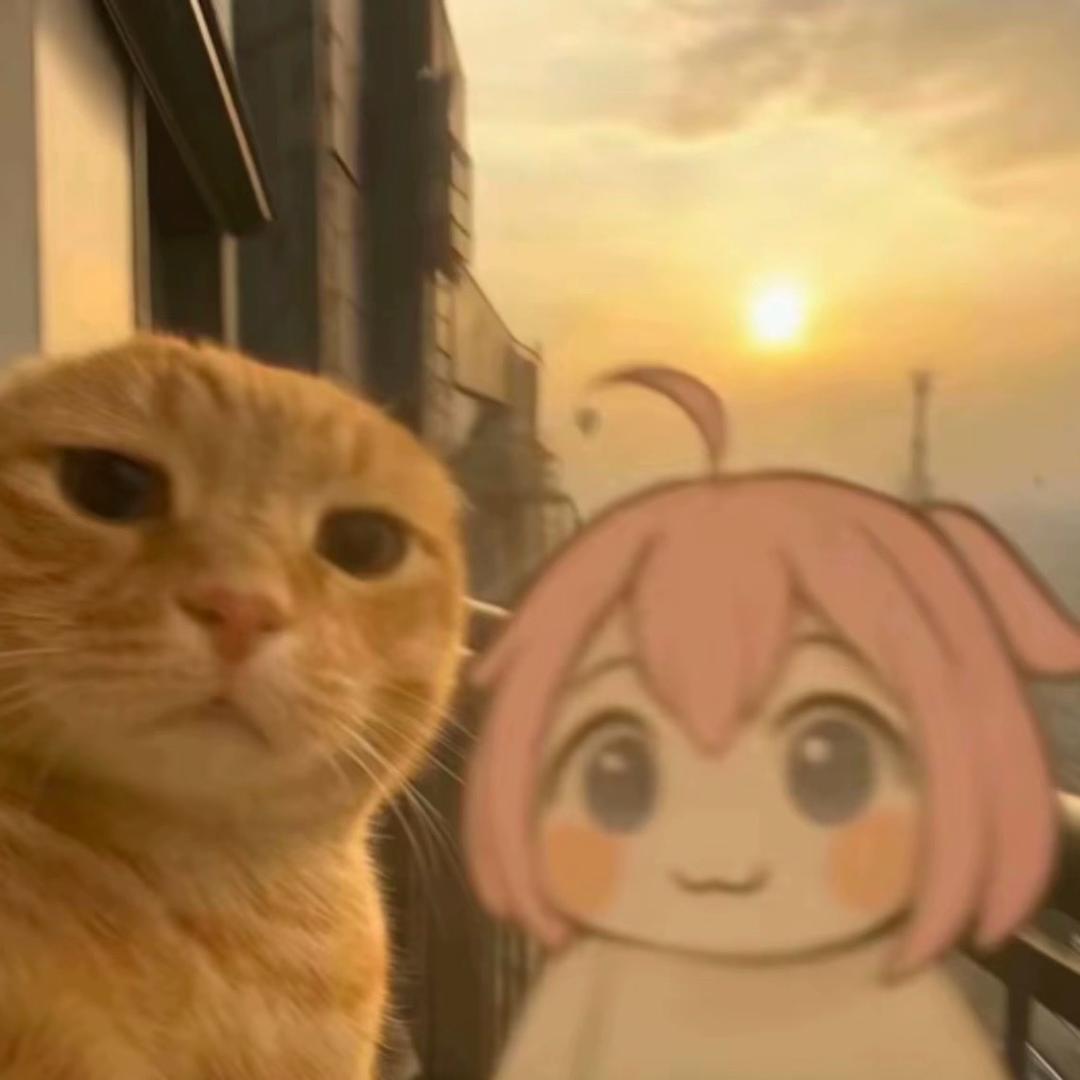 西红柿炒蛋