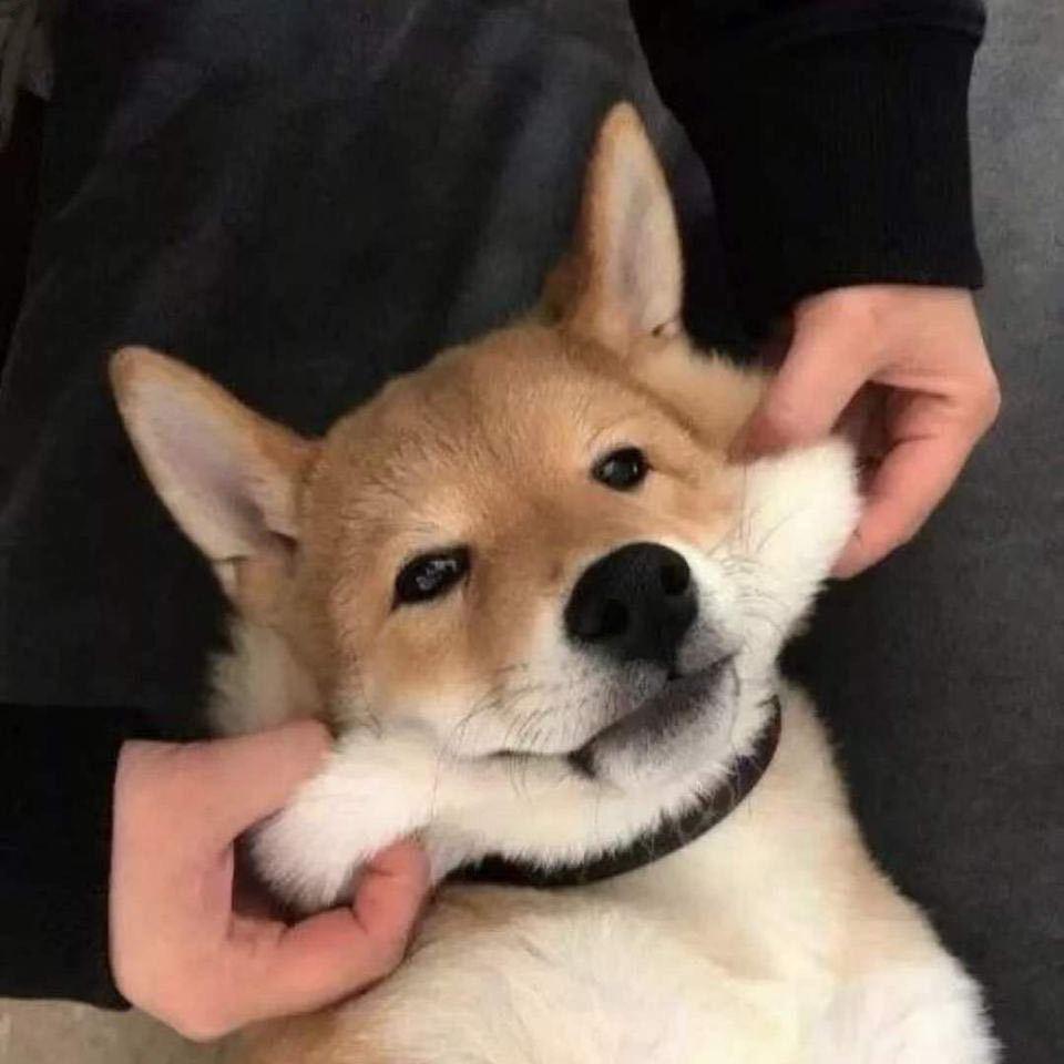 瞎捣乱
