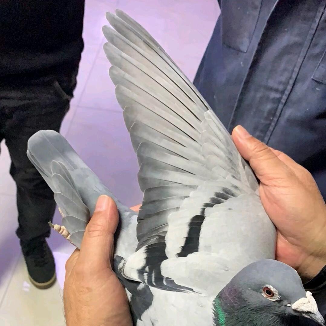 @路有亨通