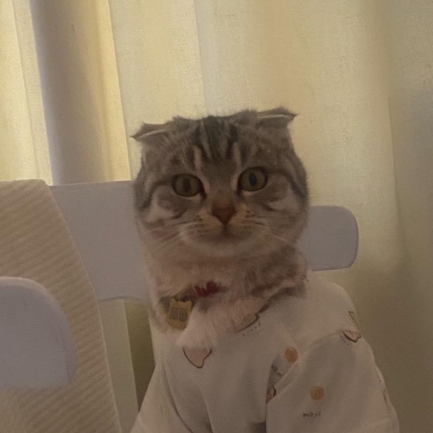我会发财☀️💭