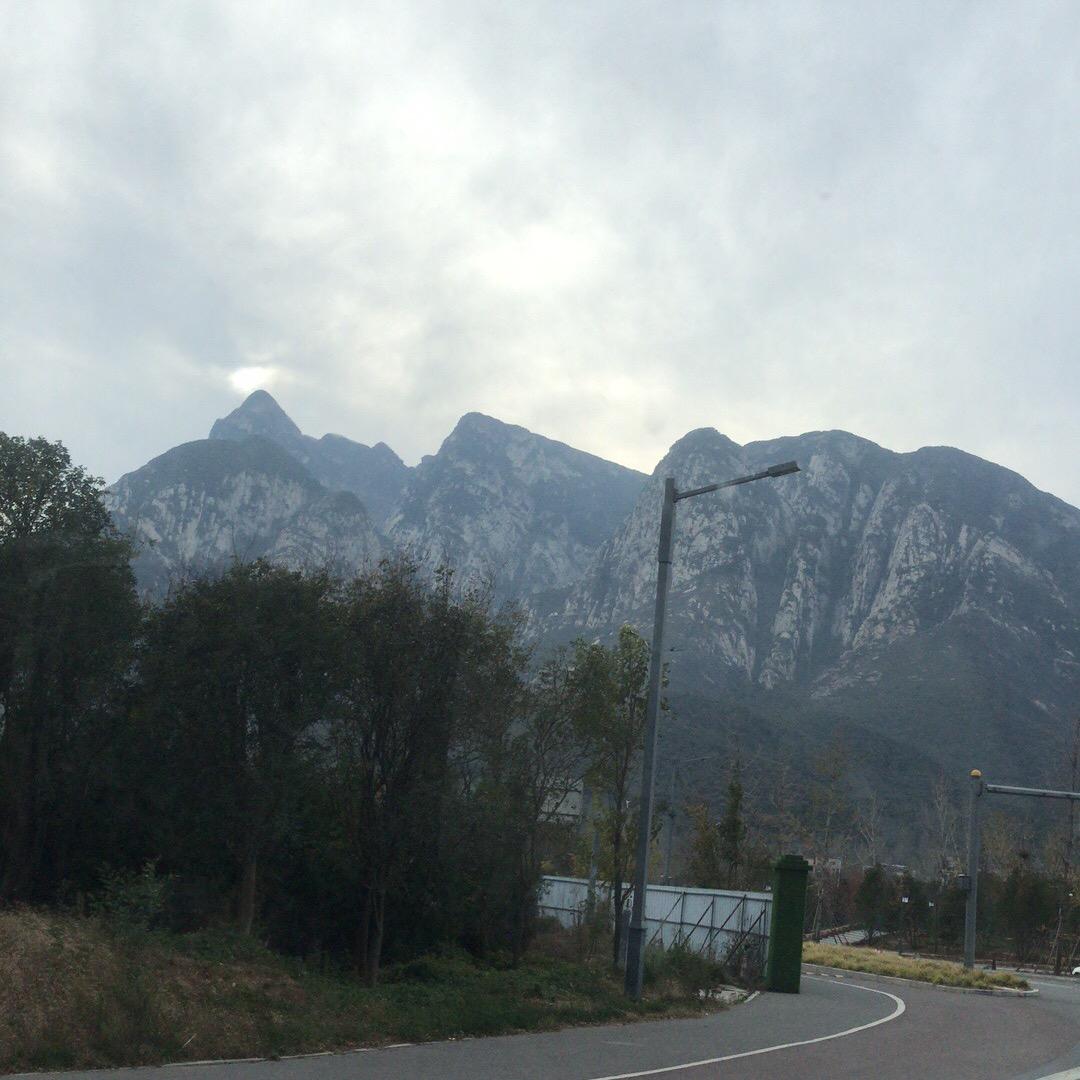 刘玲123