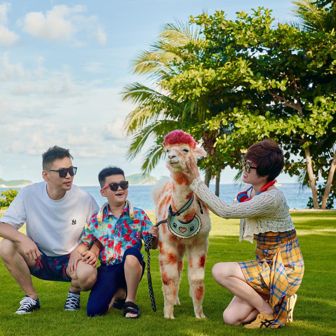 小马哥🐴