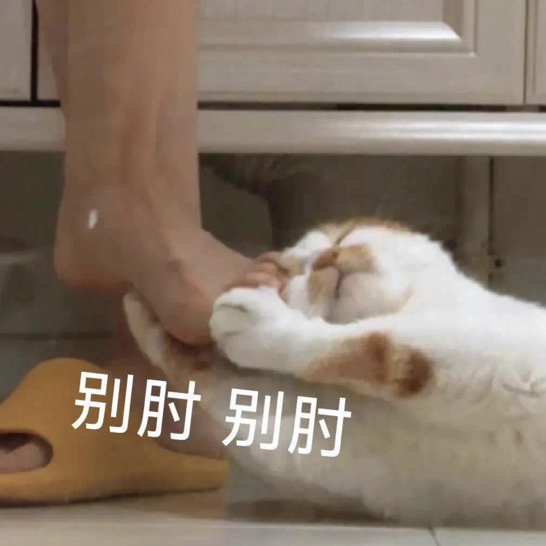 ･ᴗ･