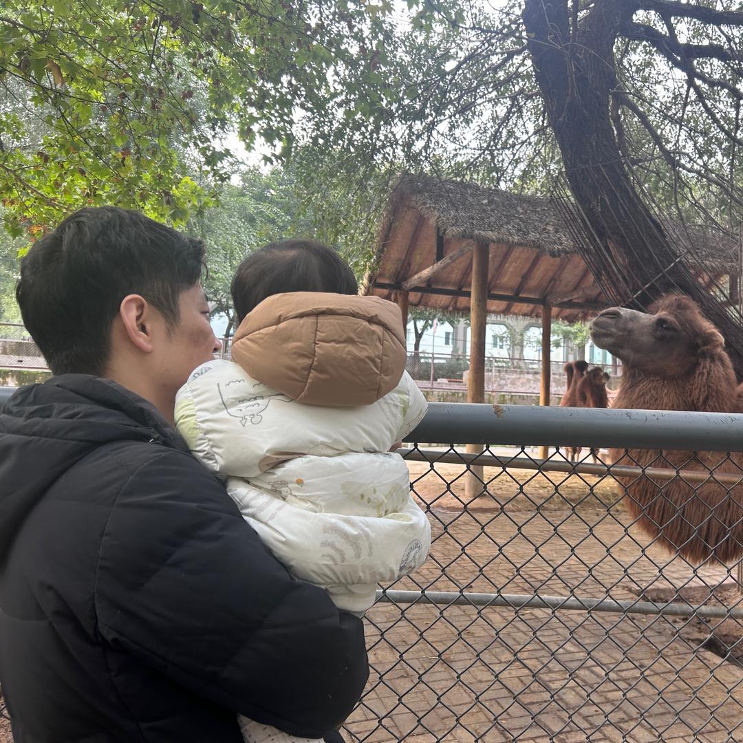 困困土豆泥Z☡zᶻ