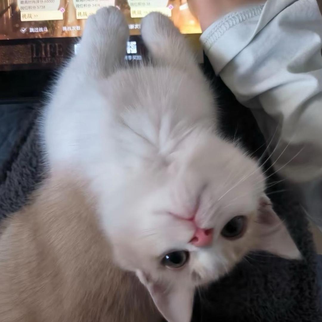 ꉂ  • ༚ • ིྀต੭