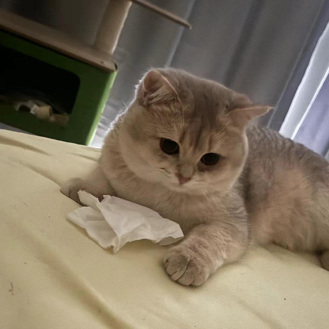 关你什么室