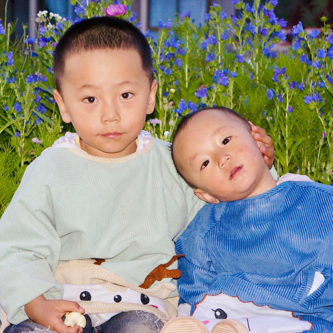 ༼ཀ༽吐蕃🐭鼠