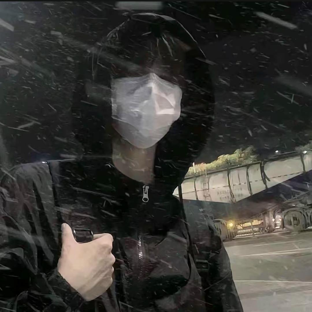 南星临渊