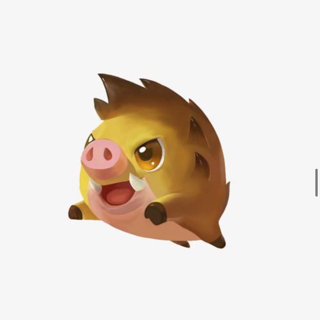 一对小八哥