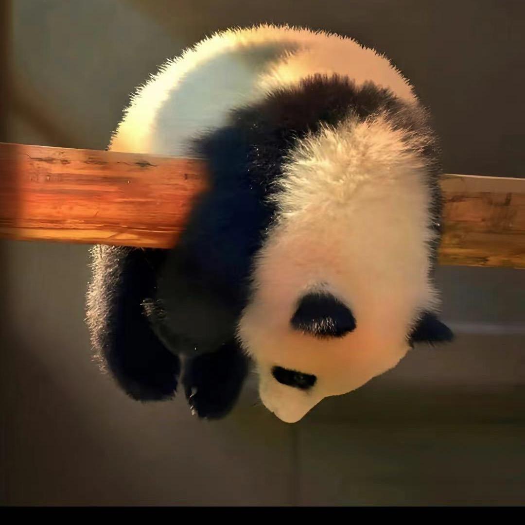 名字无所谓的