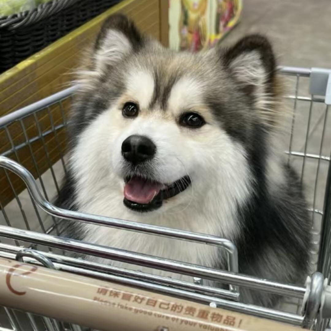 别怕变老