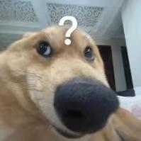 鴨尔．查郫盐
