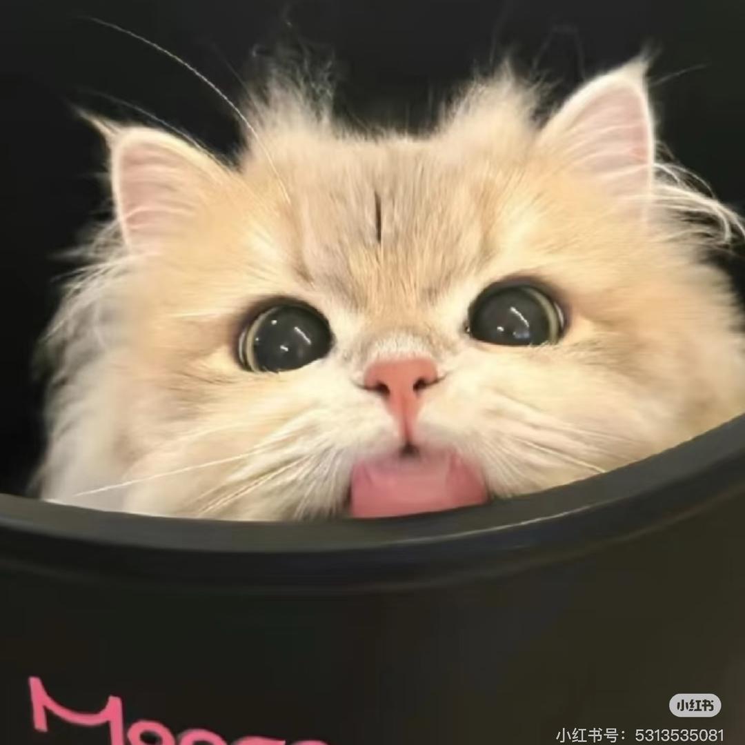 小乖^