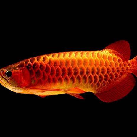 仰望星空🌺🌺🌺🌺🌺🌺🌺🌺