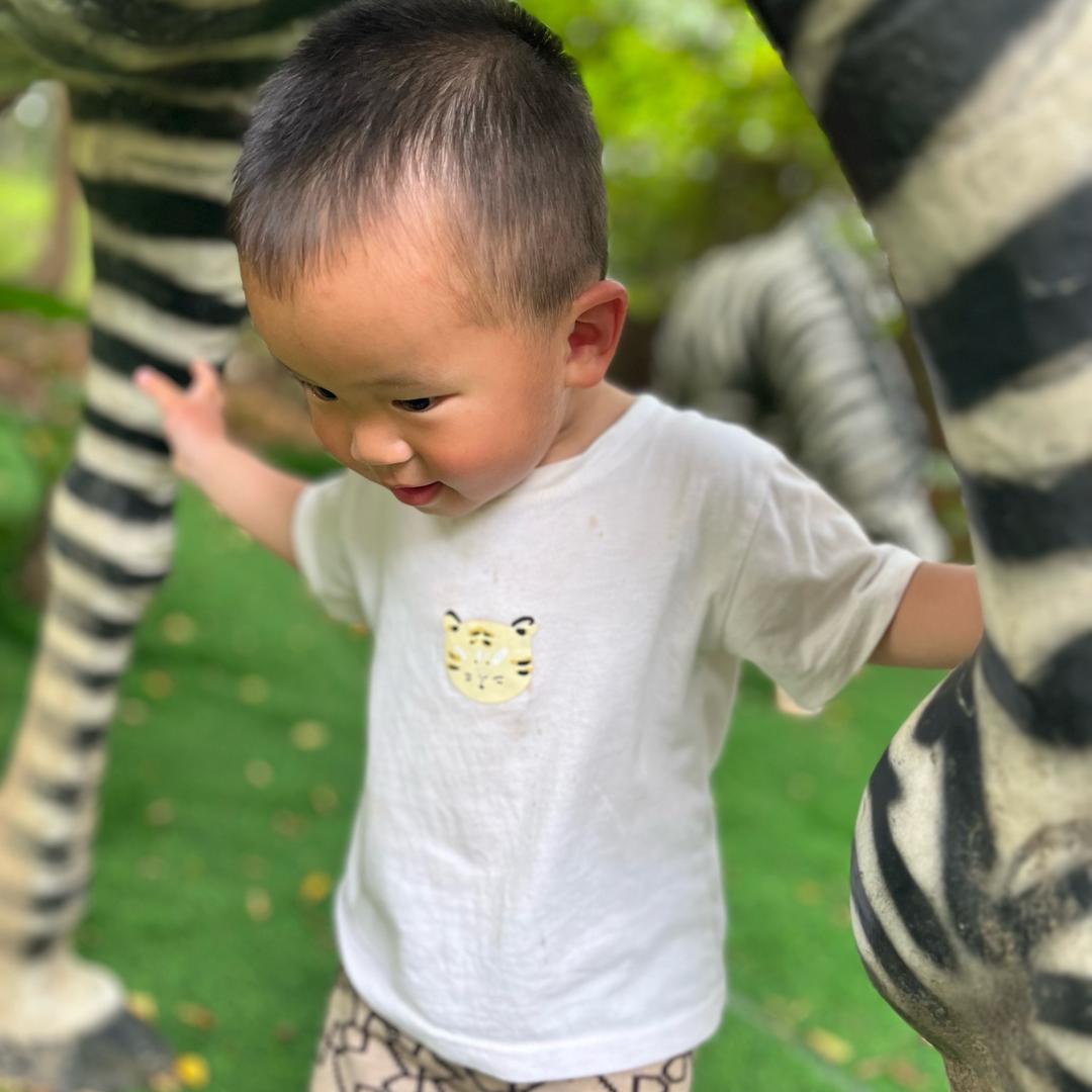 是萱萱