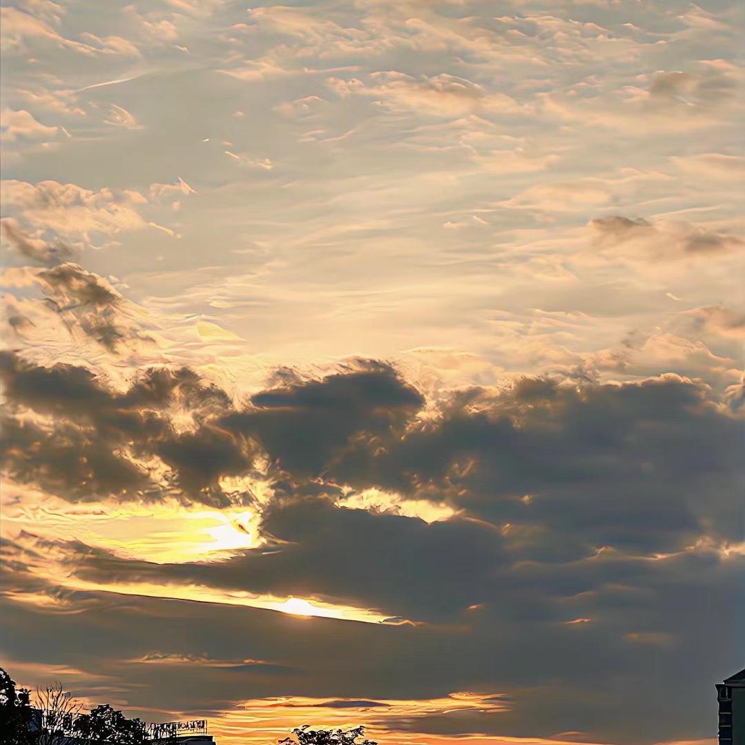 李老师分享阿芃